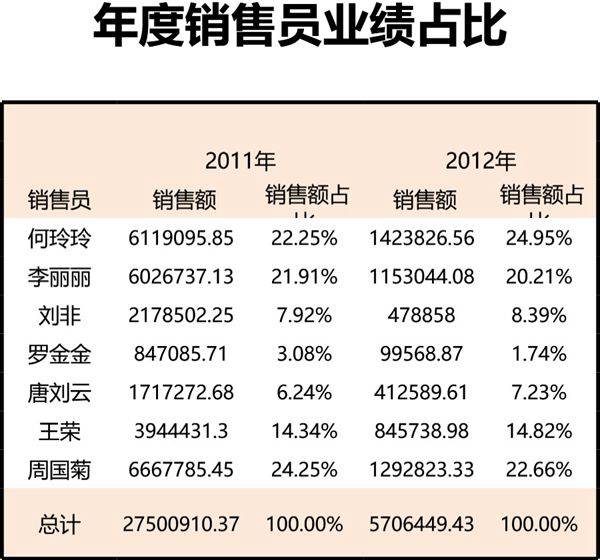 年度销售员业绩及占比分析