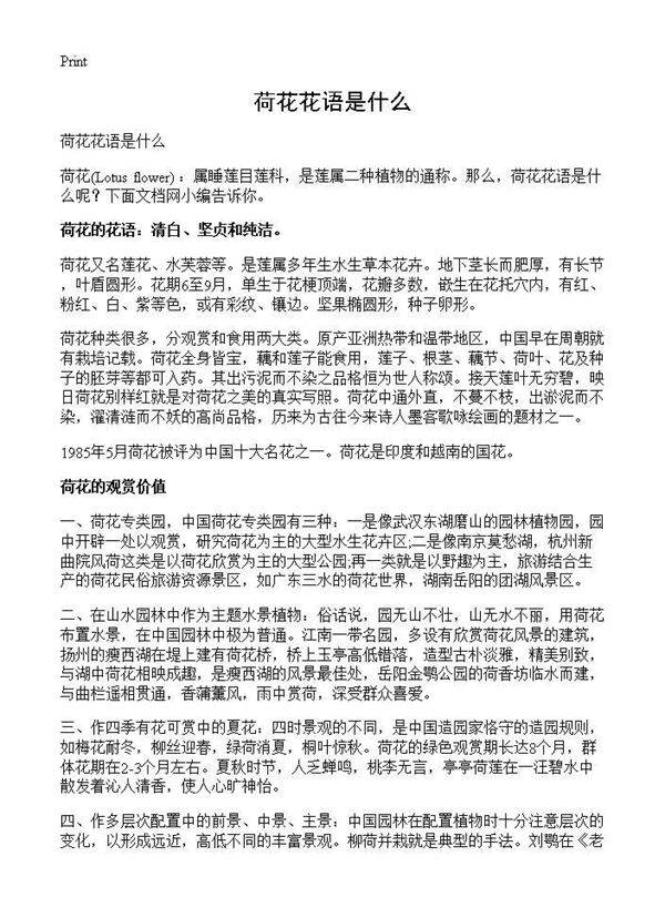 荷花花语是什么