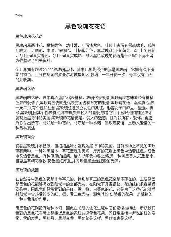 黑色玫瑰花花语