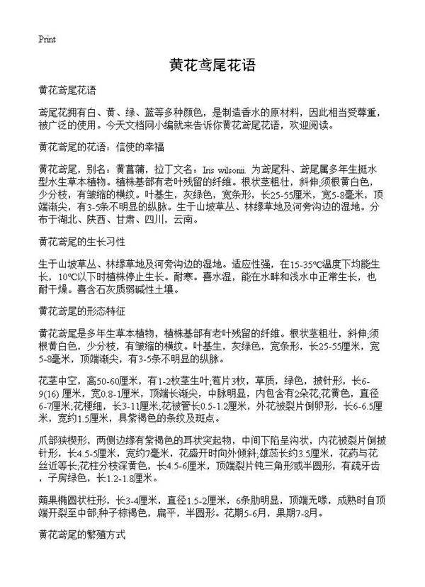 黄花鸢尾花语