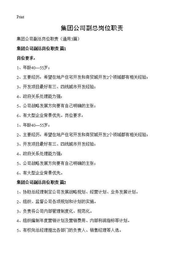 集团公司副总岗位职责3篇