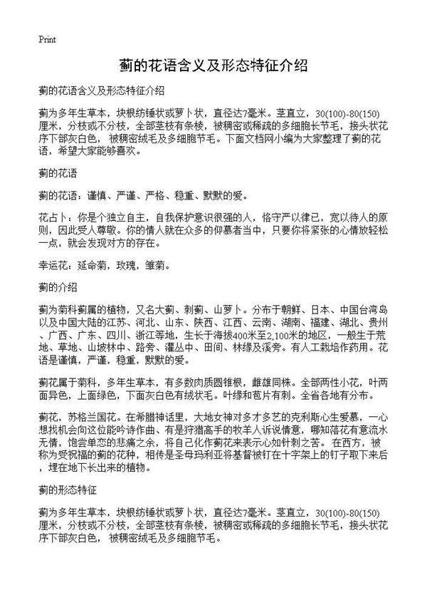 蓟的花语含义及形态特征介绍