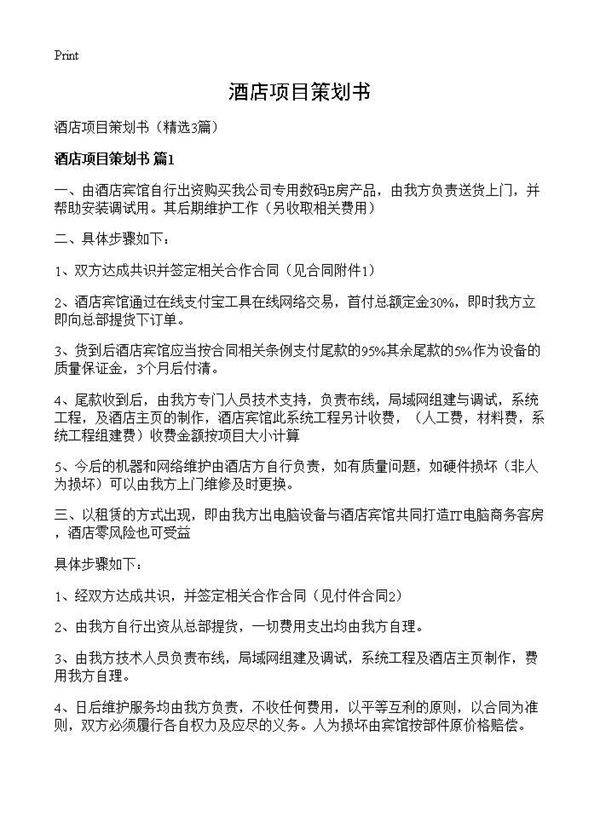 酒店项目策划书3篇