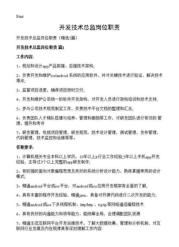 开发技术总监岗位职责5篇