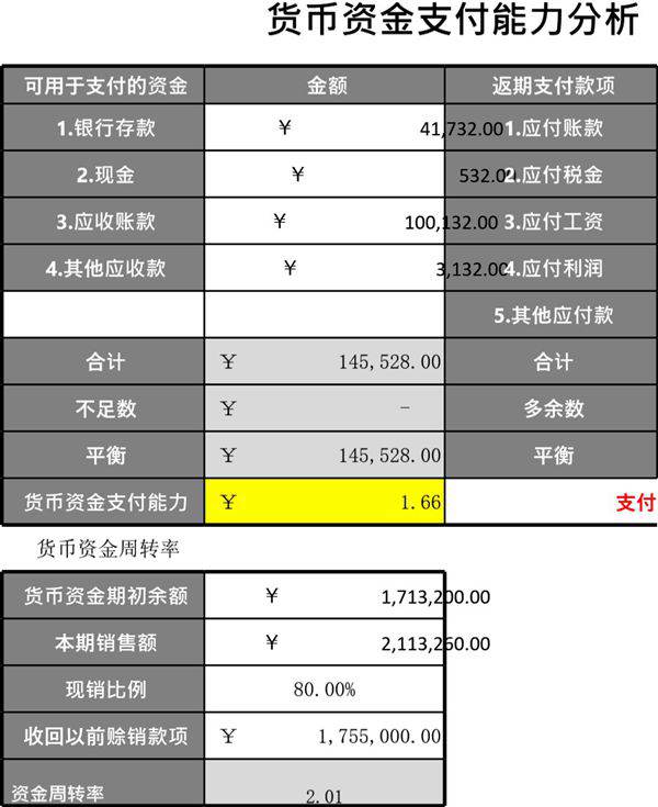 货币资金支付能力分析表