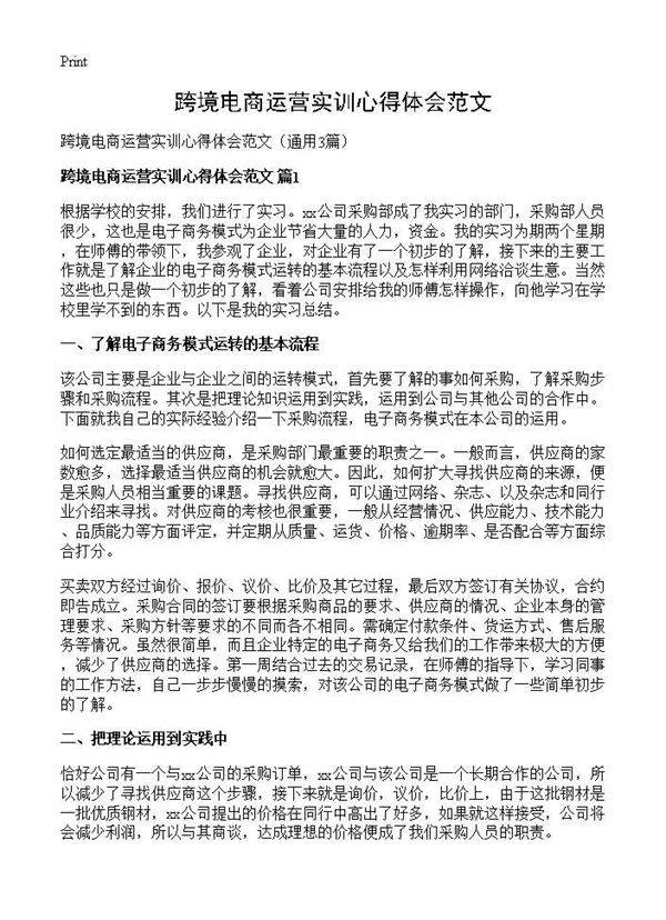 跨境电商运营实训心得体会范文3篇