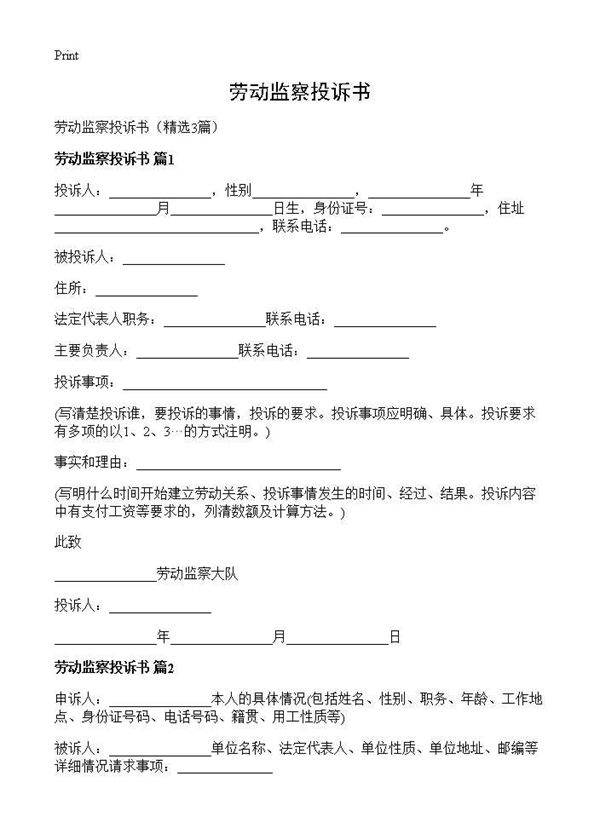 劳动监察投诉书3篇
