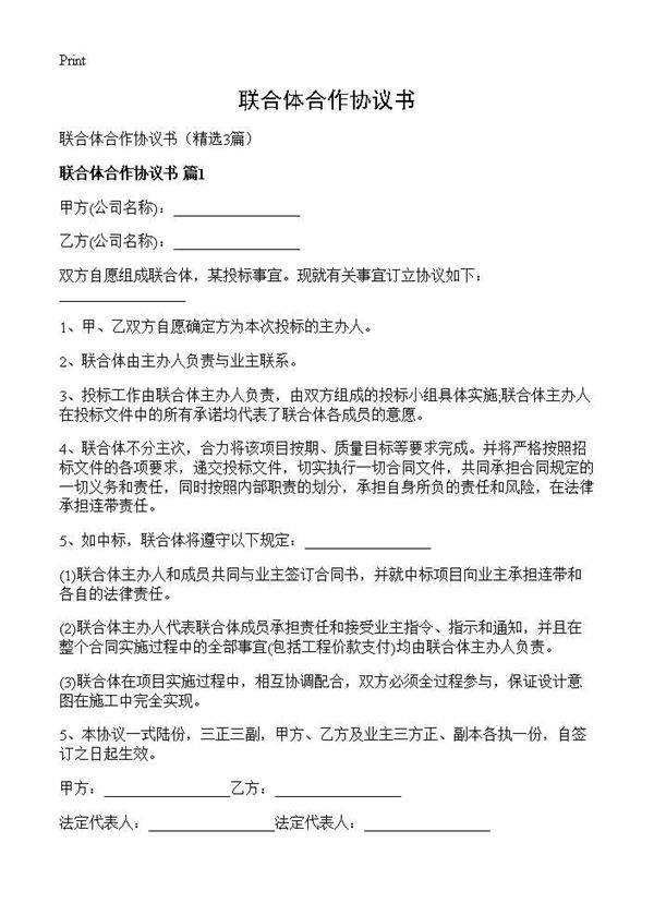联合体合作协议书3篇