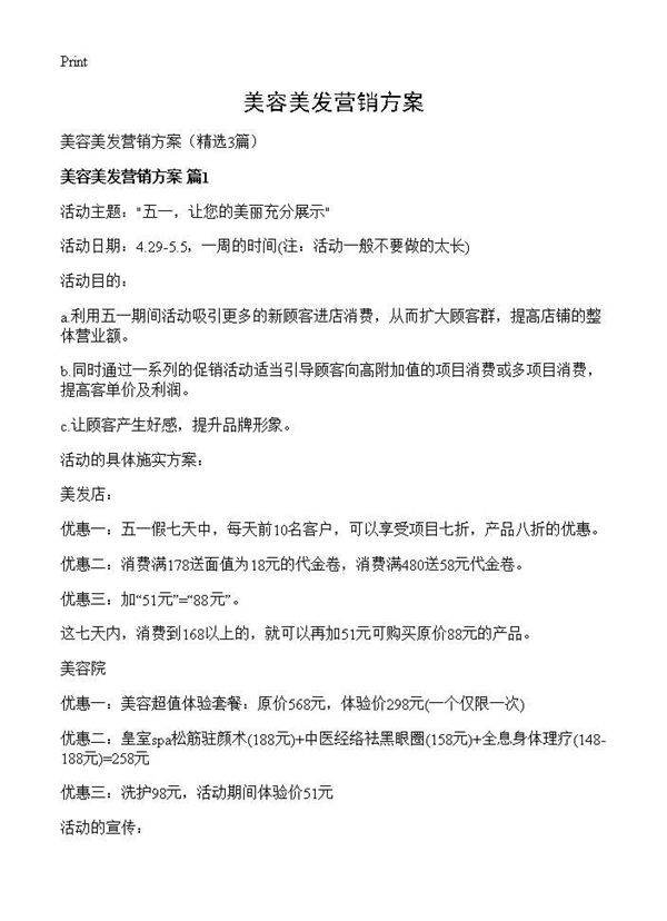 美容美发营销方案3篇