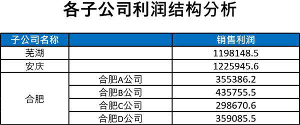 各子公司利润结构图模板