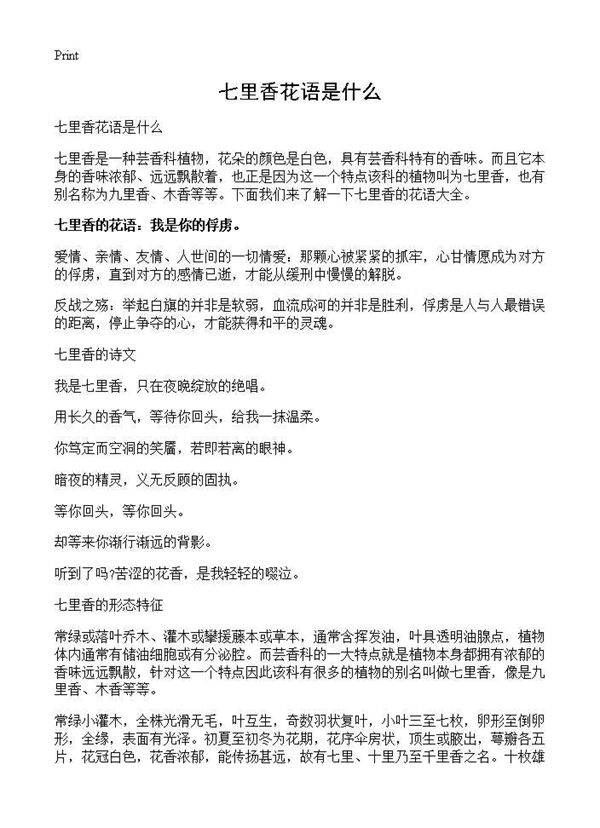 七里香花语是什么