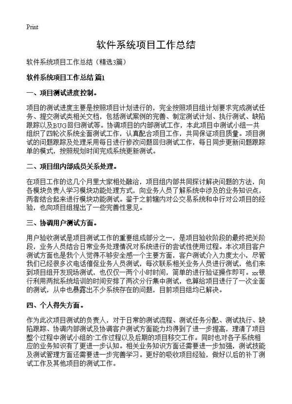 软件系统项目工作总结3篇
