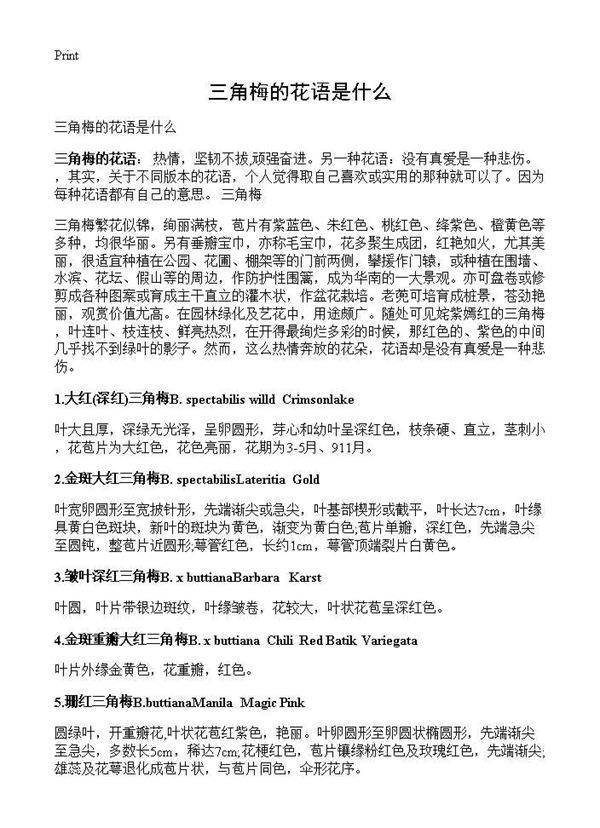 三角梅的花语是什么