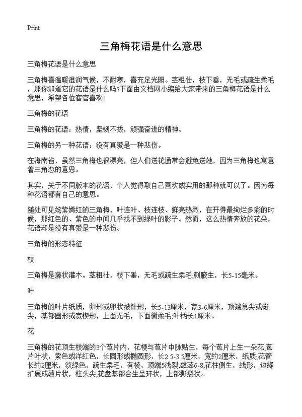 三角梅花语是什么意思