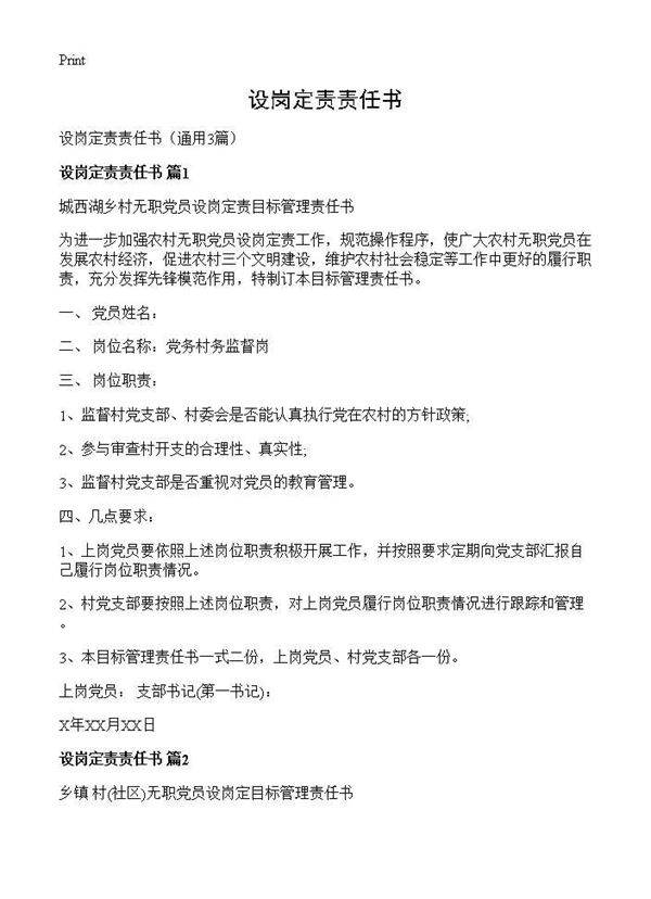设岗定责责任书3篇