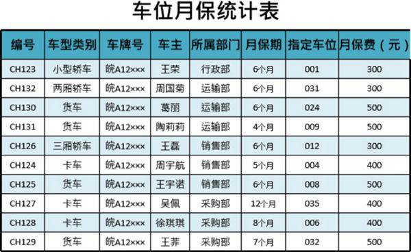 车位月保统计表