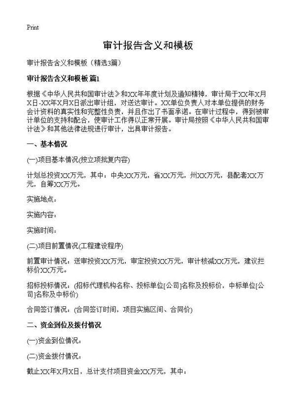 审计报告含义和模板3篇