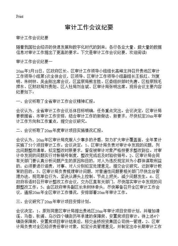 审计工作会议纪要