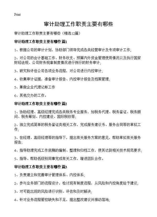 审计助理工作职责主要有哪些12篇