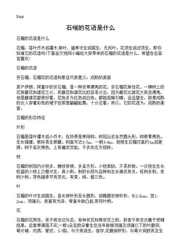 石榴的花语是什么