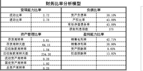 财务分析模板