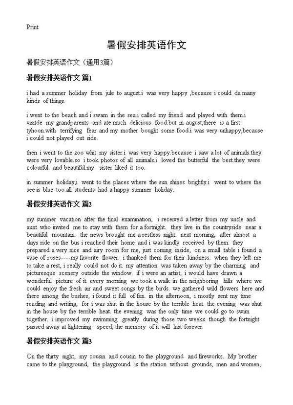 暑假安排英语作文3篇