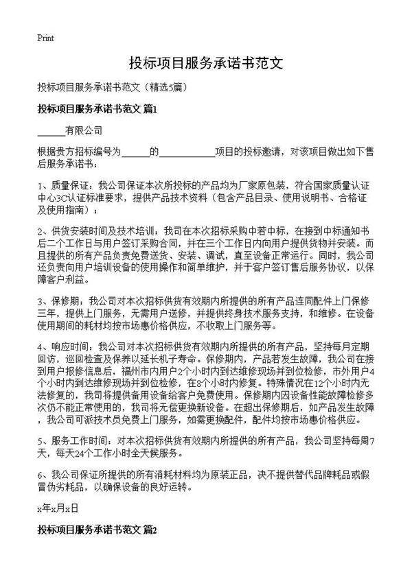 投标项目服务承诺书范文5篇