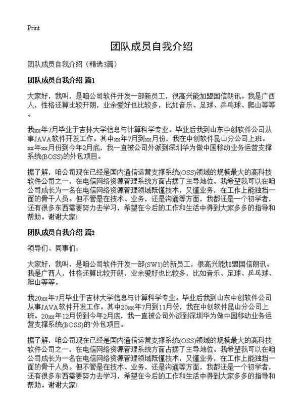 团队成员自我介绍3篇