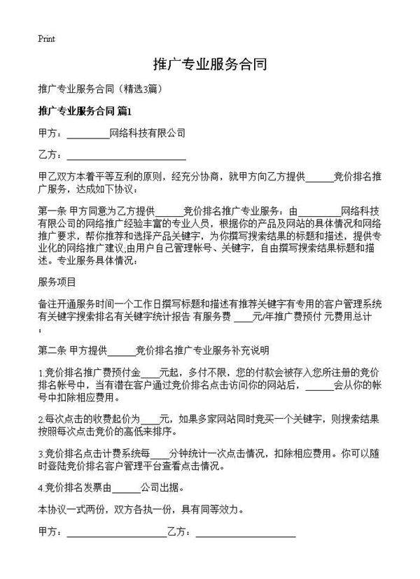 推广专业服务合同3篇
