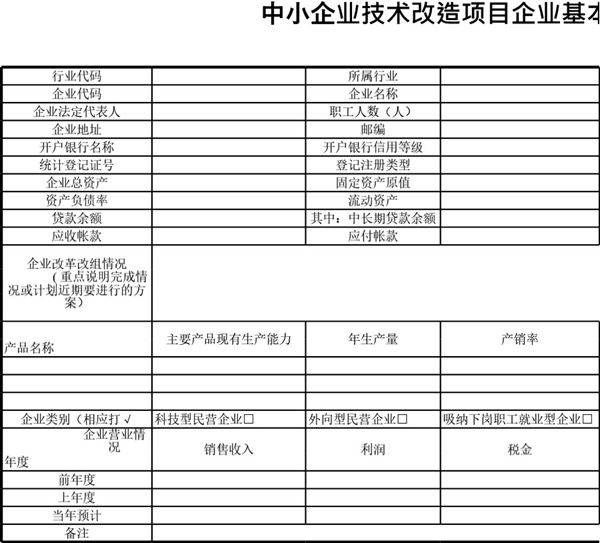 中小企业技术改造项目企业基本情况表模板