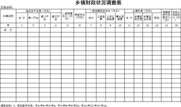乡镇财政状况调查表模板