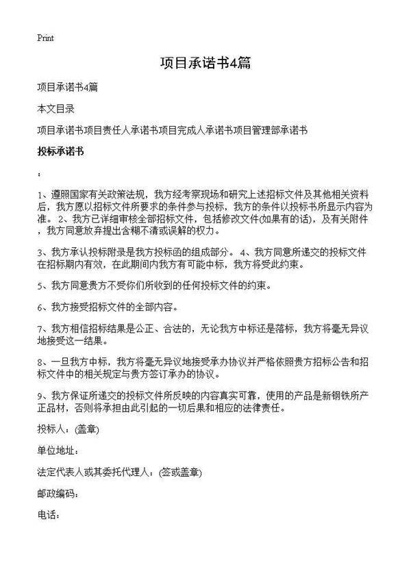 项目承诺书4篇