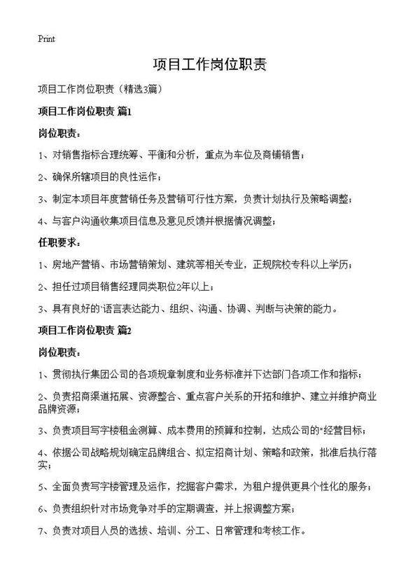 项目工作岗位职责3篇