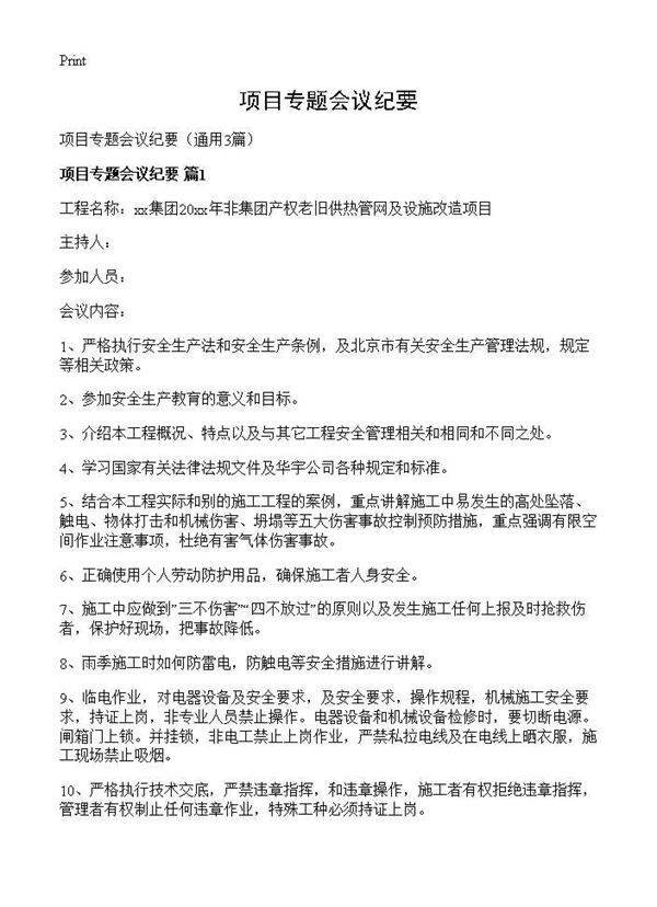 项目专题会议纪要3篇