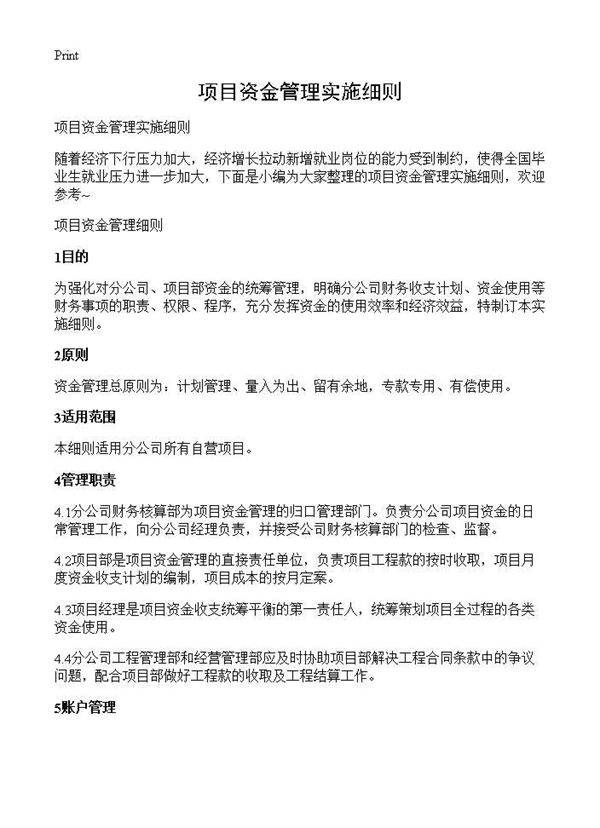 项目资金管理实施细则