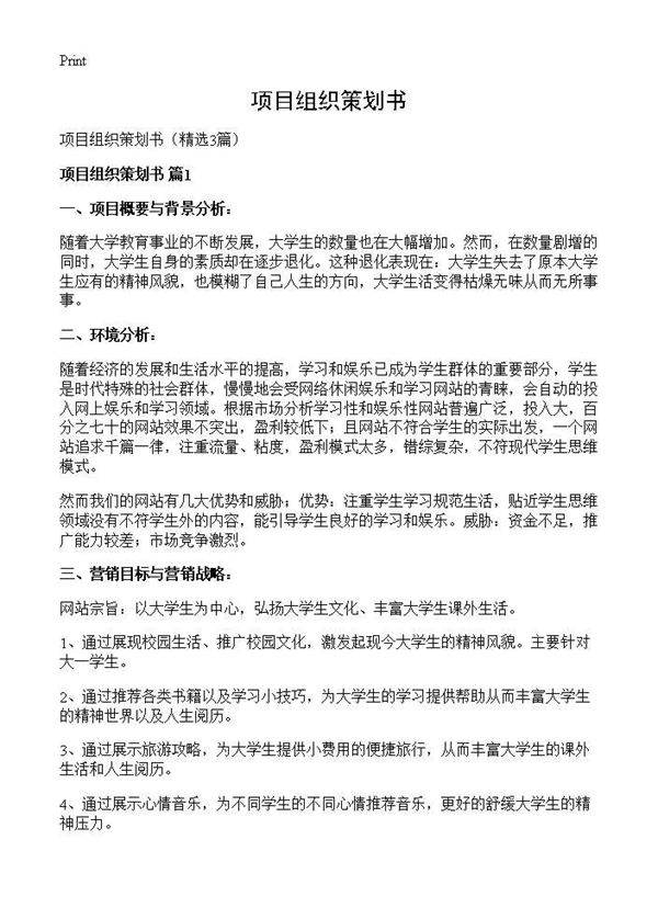 项目组织策划书3篇