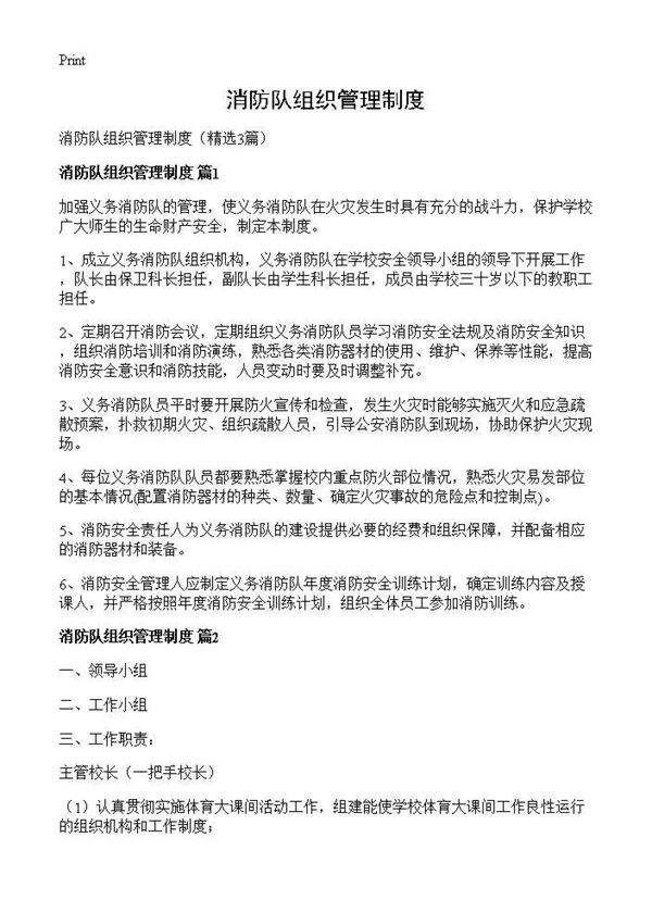 消防队组织管理制度3篇