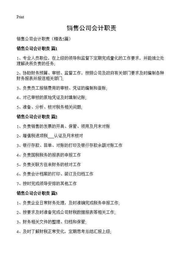 销售公司会计职责5篇