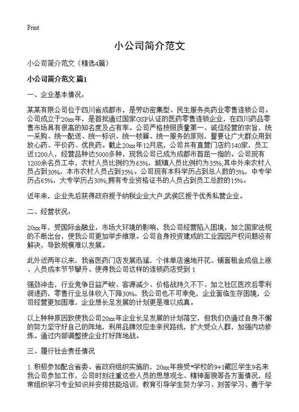 小公司简介范文4篇