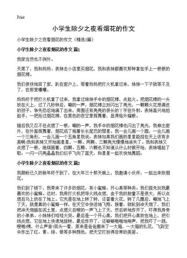 小学生除夕之夜看烟花的作文3篇