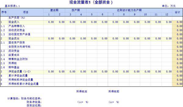 企业建设项目报表模板