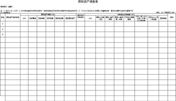 债权资产调查表模板