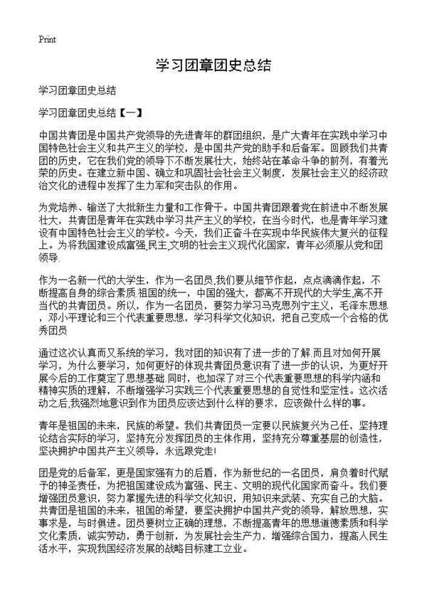 学习团章团史总结
