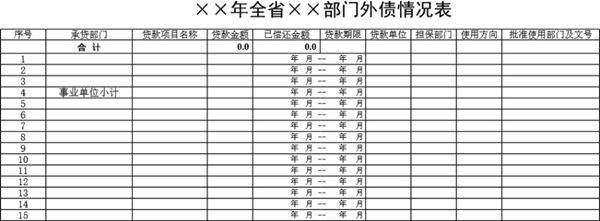 全省部门外债情况表模板