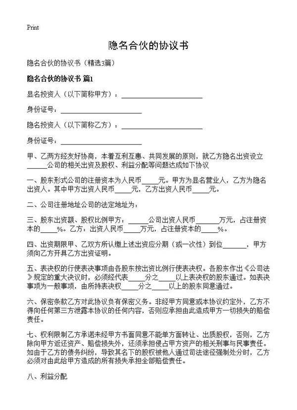 隐名合伙的协议书3篇