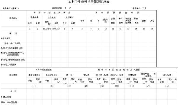 农村卫生建设执行情况汇总表模板
