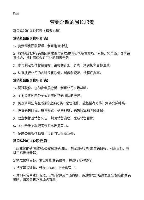 营销总监的岗位职责13篇