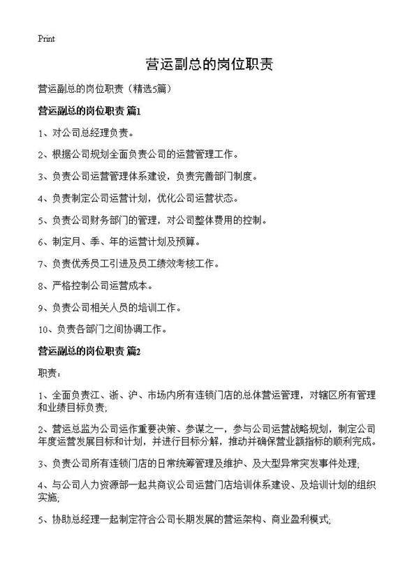 营运副总的岗位职责5篇