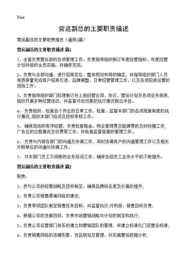 营运副总的主要职责描述6篇