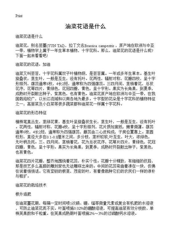 油菜花语是什么